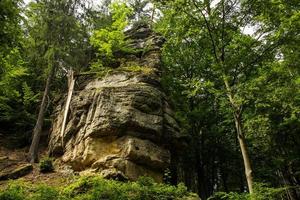 paisagem nas montanhas no parque nacional da suíça tcheca, floresta de pinheiros e rochas foto