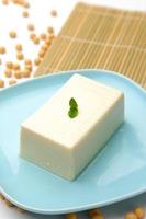 tofu foto