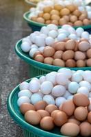pilhas de ovos, patos e galinhas em uma cesta.