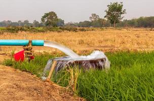 a água flui de canos para uma bacia em campos de arroz perto de solo árido. foto
