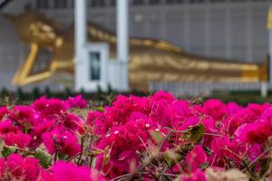 flores de buganvílias e imagens de Buda reclinado. foto