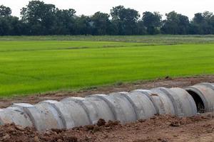 tubos de concreto que se estendem no chão perto dos campos de arroz verde. foto