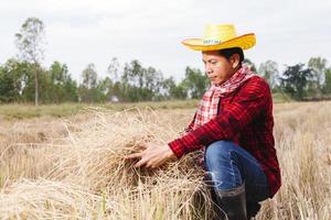 agricultor asiático com restolho de arroz no campo foto