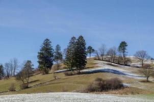 colina com árvores no inverno foto