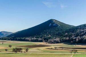 montanha com floresta foto