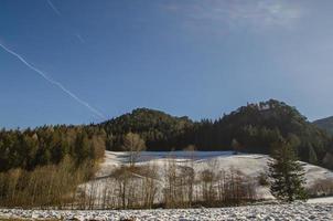 natureza com neve foto