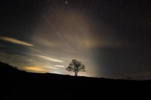única árvore e céu estrelado foto