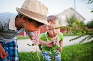 dois irmãos cheirando flores, pequenos pesquisadores da natureza. foto