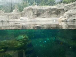 aquário ou recinto com janela e água e pedra no zoológico foto