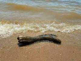 areia com ondas e pedras e troncos foto