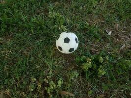 bola de futebol preto e branco na grama verde foto