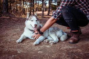 jovem viajante masculino com cachorro husky foto