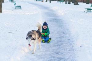 menino feliz brincar com cachorro husky em winter park cheio de neve foto