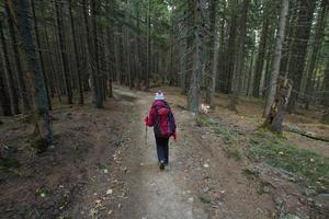 jovem alpinista na floresta de outono foto