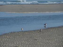 ilha juist no mar do norte alemão foto