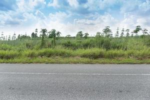 vista horizontal da estrada de asfalto na tailândia. fundo de grama verde e seringueiras jovens. sob o céu azul. foto