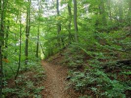 a pequena cidade de waldeck em hessen foto