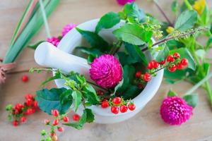 ervas frescas no almofariz, medicina alternativa
