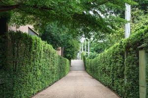 jardim de arbustos verdes e passarela de cascalho foto