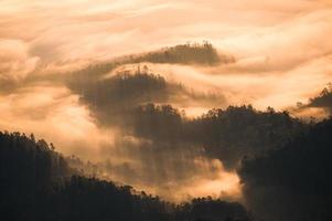 lindo nevoeiro dourado fluindo na montanha no vale no parque nacional foto