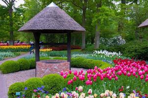 bem com tulipas coloridas, parque keukenhof, lisse na holanda foto