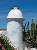 a ilha espanhola tenerife foto