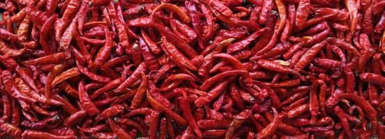 pimenta vermelha seca é um grampo que adiciona tempero aos alimentos. foto