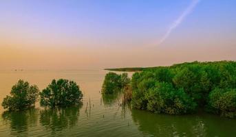 lindo céu e nuvens na floresta de mangue. mar tropical com pôr do sol. foto