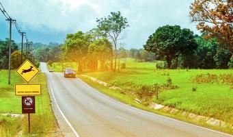 carro suv azul do turista dirigindo com cautela durante a viagem na estrada de asfalto perto do sinal de trânsito amarelo com veados pulando dentro do sinal e tem mensagem cautela passagem de vida selvagem. sem alimentação de animais selvagens foto