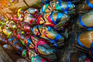 scylla serrata. caranguejos frescos são amarrados com cordas plásticas coloridas e organizados em fileiras no mercado de frutos do mar na tailândia. matérias-primas para o conceito de restaurantes de frutos do mar. foto