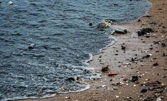 poluição do ambiente de praia. manchas de óleo na praia. vazamento de óleo para o mar. água suja no oceano. poluição da água. prejudicial para o animal no oceano e ambiente marinho. água de esgoto. foto