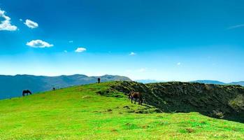 rebanho de cavalos pastando na colina com lindo céu azul e nuvens brancas. cavalo agricultura orgânica. pasto de animais. paisagem de campo de grama verde na montanha. cavalo pastando no pico da montanha. foto