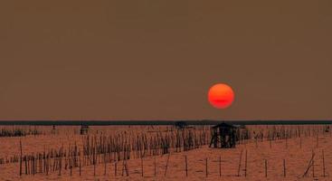 lindo grande sol no verão. céu do sol sobre o mar, cabana do pescador e floresta de mangue à noite. poste de bambu na costa. bordado de bambu para desacelerar a onda para evitar a erosão costeira. foto