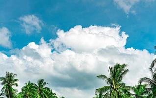 lindo céu azul e nuvens cumulus brancas contra coqueiro em dia feliz e relaxado. passar o tempo no conceito de férias de verão tropical. topo do coqueiro. plano de fundo para viagens de verão. foto