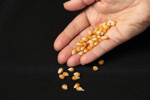sementes de milho na mão de uma menina