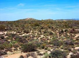 paisagem do deserto foto