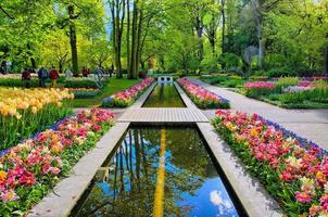 caminho de água cercado por tulipas coloridas, parque keukenhof, lisse na holanda foto