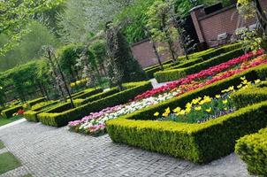 jardim com pequenos arbustos, tulipas brancas, laranja e vermelhas e paredes de tijolos no parque keukenhof na holanda foto