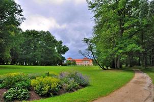 natureza do parque de verão de schloss fasanarie em fulda, hessen, alemanha foto