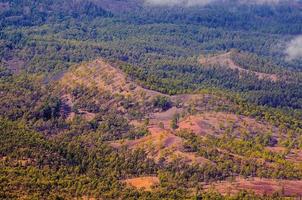 florestas de pinheiros, vista do vulcão teide em tenerife, espanha foto