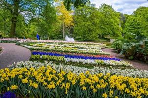 drop monumento com narcisos coloridos e tulipas, parque keukenhof, lisse na holanda foto