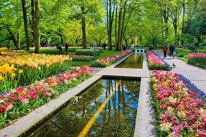 caminho de água cercado por tulipas coloridas, parque keukenhof, lisse na holanda