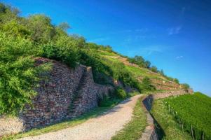 estrada perto de burg ehrenfels, ruedelsheim, hessen, alemanha foto