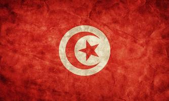 bandeira grunge da tunísia. item da minha coleção de bandeiras vintage e retrô foto