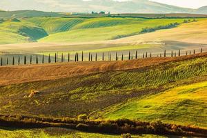 toscana campos paisagem de outono, itália. temporada de colheita foto