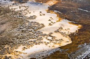 bacia do gêiser superior, parque nacional de yellowstone, eua foto