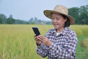 retrato do agricultor idoso asiático que está segurando o telefone inteligente e usando-o para se conectar a outras pessoas no meio do campo de arroz, dispositivos inteligentes na vida diária de todo o conceito de pessoas em geral. foto