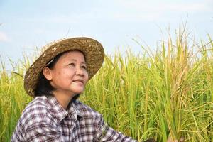 retrato de mulher asiática idosa que usa chapéu de folha de palmeira e camisa quadriculada, senta-se ao lado do arrozal amarelo e olhando para o céu, foco suave e seletivo, conceito de agricultor feliz. foto