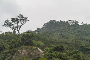 selva chinesa, ilha de hainan foto