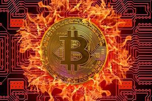 queimando bitcoin único valioso dourado da moeda criptográfica com uma placa vermelha no meio de fundo foto